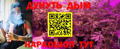 мдпв Краснознаменск